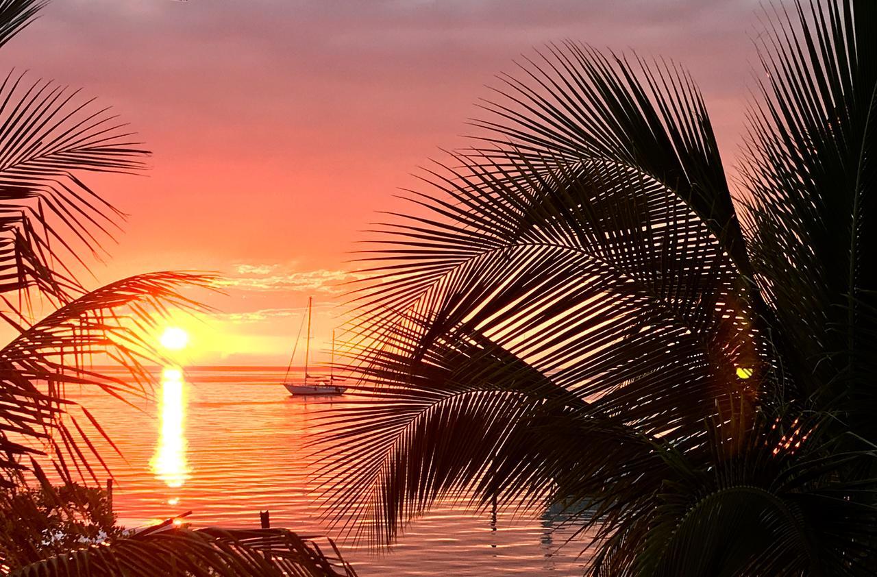 Bonita'S Lägenhet Caye Caulker Exteriör bild